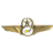 NetJets logo